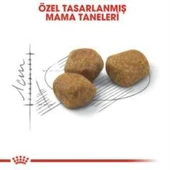 Royal Canin İndoor 7+ Yaşlı Kuru Kedi Maması 3,5 Kg + 2 Adet Yaş Mama Hediye - 3