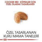 Royal Canin Cocker Yetişkin Köpek Maması 3 kg + 2 Adet Yaş Mama Hediye - 3