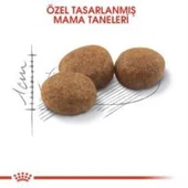 Royal Canin Sterilised Kısırlaştırılmış Kedi Maması 2 Kg + 2 Adet Yaş Mama Hediye thumbnail 3