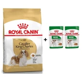 Royal Canin Cavalier King Charles  Yetişkin Köpek Maması 3 kg + 2 Adet Yaş Mama Hediye - 1