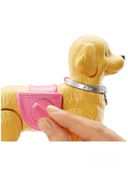 Barbie Barbıe Yürüyüş Ve oyun Arkadaşı Köpekçik Walk Potty Pup - 4