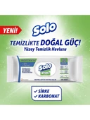 SOLO Yüzey Temizleme Havlusu Okaliptus & Çam Esintisi 100 Yaprak thumbnail 3