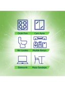 SOLO Yüzey Temizleme Havlusu Okaliptus & Çam Esintisi 100 Yaprak thumbnail 5