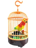 Deprem Habercisi Sesli Büyük İkili KAFESLİ Mega KUŞ CENNETİ Oyuncak Öten Kuş - 3