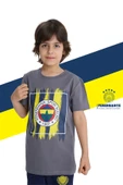Fenerbahçe Orijinal Renkli Logo Polo Yaka Çocuk T-Shirt thumbnail 5