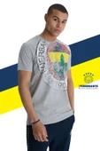 Fenerbahçe Orijinal Lisanslı 6 Renk Logo Gri Tribün T-Shirt - 8