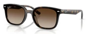Ray-Ban RB4461D 710/13 64 Unisex Güneş Gözlüğü - 1