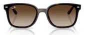 Ray-Ban RB4461D 710/13 64 Unisex Güneş Gözlüğü - 4