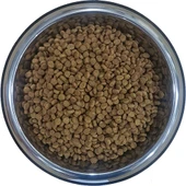 Pro Plan Tavuklu Yetişkin Kedi Maması 10 Kg thumbnail 4