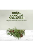 Eyüp Sabri Tuncer Doğal Çam Özlü Diş Macunu 90 Ml - 2