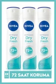 Kadın Sprey Deodorant Dry Fresh,48 Saat Koruma,150mlx3 - 1