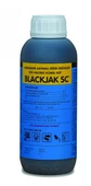 BLACKJAK SC - 1
