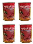 HANA ACILI PİLİÇ SALAM 380 X4 ADET thumbnail 1