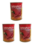 HANA ACILI PİLİÇ SALAM 380 GR X3 ADET thumbnail 1