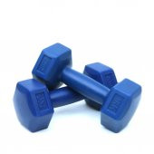 Delta 1 Kg x 2 Adet Köşeli Mavi Plastik Dambıl Ağırlık Seti - 1