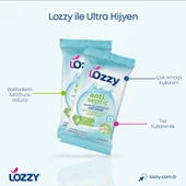 Lozzy El ve Cilt Dezenfektan Mendilleri - 30'lu Antiseptik Mendil Paketi - 4
