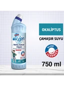 Bingo Oksijenli Çamaşır Suyu Okaliptüs 750 ml x 4 adet thumbnail 5