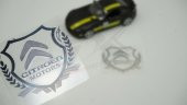 Citroen Motors Logo Kelebek Cam Buğday Başakları Logo 2Li Seti - 1