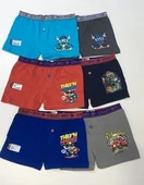 Tutku 6'lı Erkek Çocuk Elastan Baskılı Boxer Kombin 0253 - 1