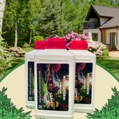 Çim Coşturan, Bitki besini 1 lt Sıvı gübre - 1