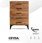 CEYDA ŞİFONYER thumbnail 2