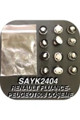 SAYPİ  Renault Fluance Peugeot 508 Döşeme Klipsi 12 ADET - 2