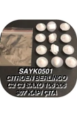 SAYPİ  Cıtroen Berlıngo C2 C3 Saxo 106 206 307 Kapı Çıta Döşeme Klipsi 12 Adet - 1