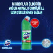 Domestos Çamaşır Suyu Dağ Esintisi 750 ml x 4 adet thumbnail 8