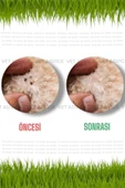 vet advice Kedi Köpek Iç Dış Herbal Tüy Cilt Parazit&bitkisel Tablet Damla 2'li Set - 4