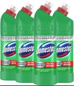 Domestos Çamaşır Suyu Dağ Esintisi 750 ml x 4 adet thumbnail 1
