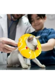 vet advice Kedi Ve Köpek Yakalığı Elizabeth Ameliyat Sonrası Koruyucu Yakalık thumbnail 4