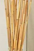BAMBU ÇUBUK 2 METRE - 2