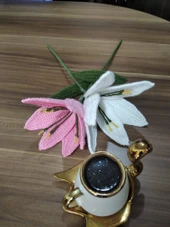 Zambak - 2