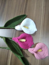 Gala çiçeği - 1