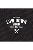 Low Down Honda Arka Cam Hologram Sticker - 4