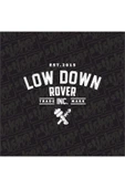 Low Down Rover Arka Cam Hologram Sticker thumbnail 4