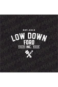 Low Down Ford Arka Cam Hologram Sticker thumbnail 4
