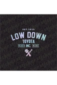 Low Down Toyota Arka Cam Hologram Sticker thumbnail 1