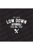 Low Down Hyundai Arka Cam Hologram Sticker thumbnail 4