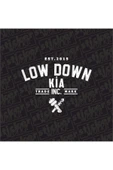 Low Down Kia Arka Cam Hologram Sticker thumbnail 4