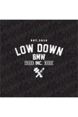 Low Down Bmw Arka Cam Hologram Sticker thumbnail 4