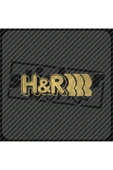 H&r Sticker - ALTIN SARI thumbnail 1