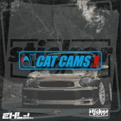 Cat Cams Sticker thumbnail 1