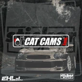 Cat Cams Sticker thumbnail 4