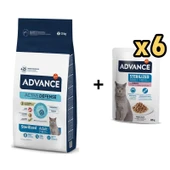 Advance Hindili Kısırlaştırılmış Kedi Maması 15 kg + 6 Adet Advance Hindili Kısır Kedi Pouch Yaş Maması 85 Gr - 1