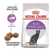 Royal Canin Sterilised 37 Kısırlaştırılmış Yetişkin Kedi Maması 15 KG - 1