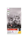 Pro Plan Kitten Tavuk Etli Yavru Kedi Maması 10kg. - 1