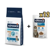 Advance Tavuklu Yetişkin Kedi Maması 15 Kg + 12 Adet Advance Tavuklu Yetişkin Kedi Pouch Yaş Maması 85 Gr - 1