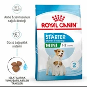 Royal Canin Mini Starter Küçük Irk Anne ve Yavru Köpek Maması 4 Kg - 1