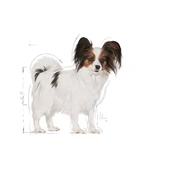 Royal Canin X Small Adult Yetişkin Köpek Maması 3 Kg - 2
